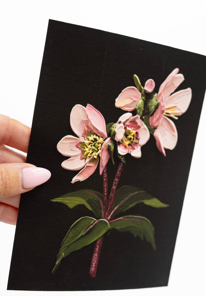 Image of Hellebore On Almost Black II Giclée Print