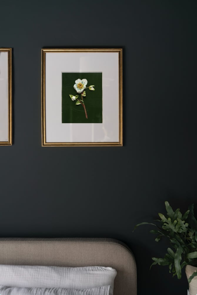 Image of Hellebore On Deep Green I Giclée Print