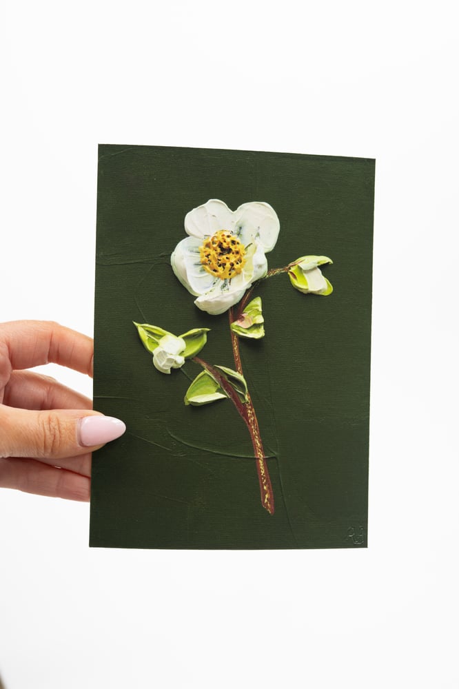 Image of Hellebore On Deep Green I Giclée Print