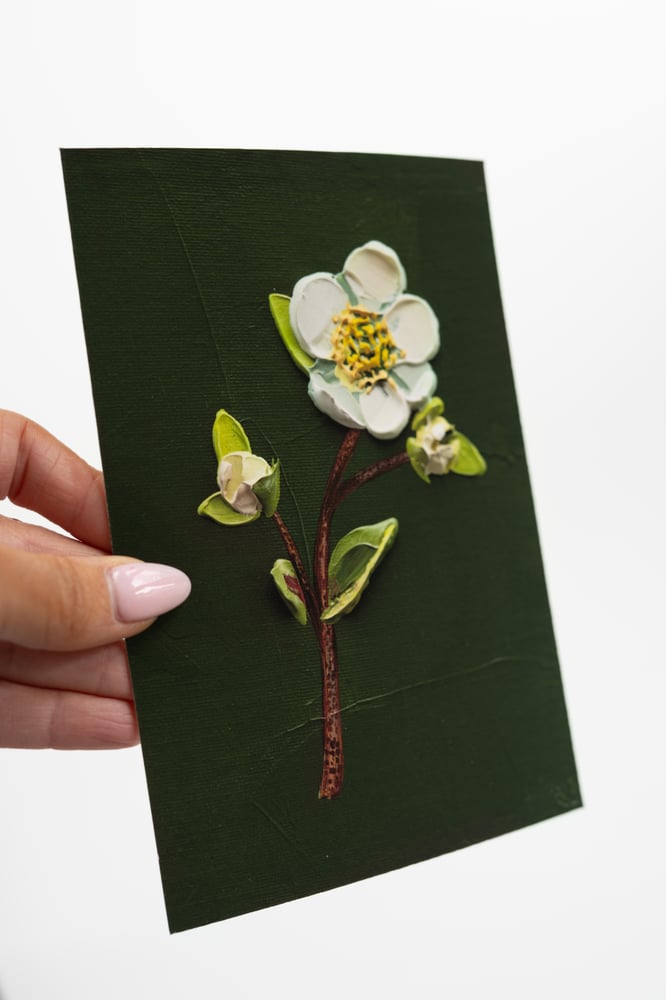 Image of Copy of Hellebore On Deep Green II Giclée Print