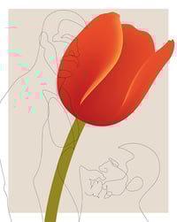 Tulipe en émoi