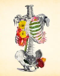 "All Dried Up" Fine Art Print 