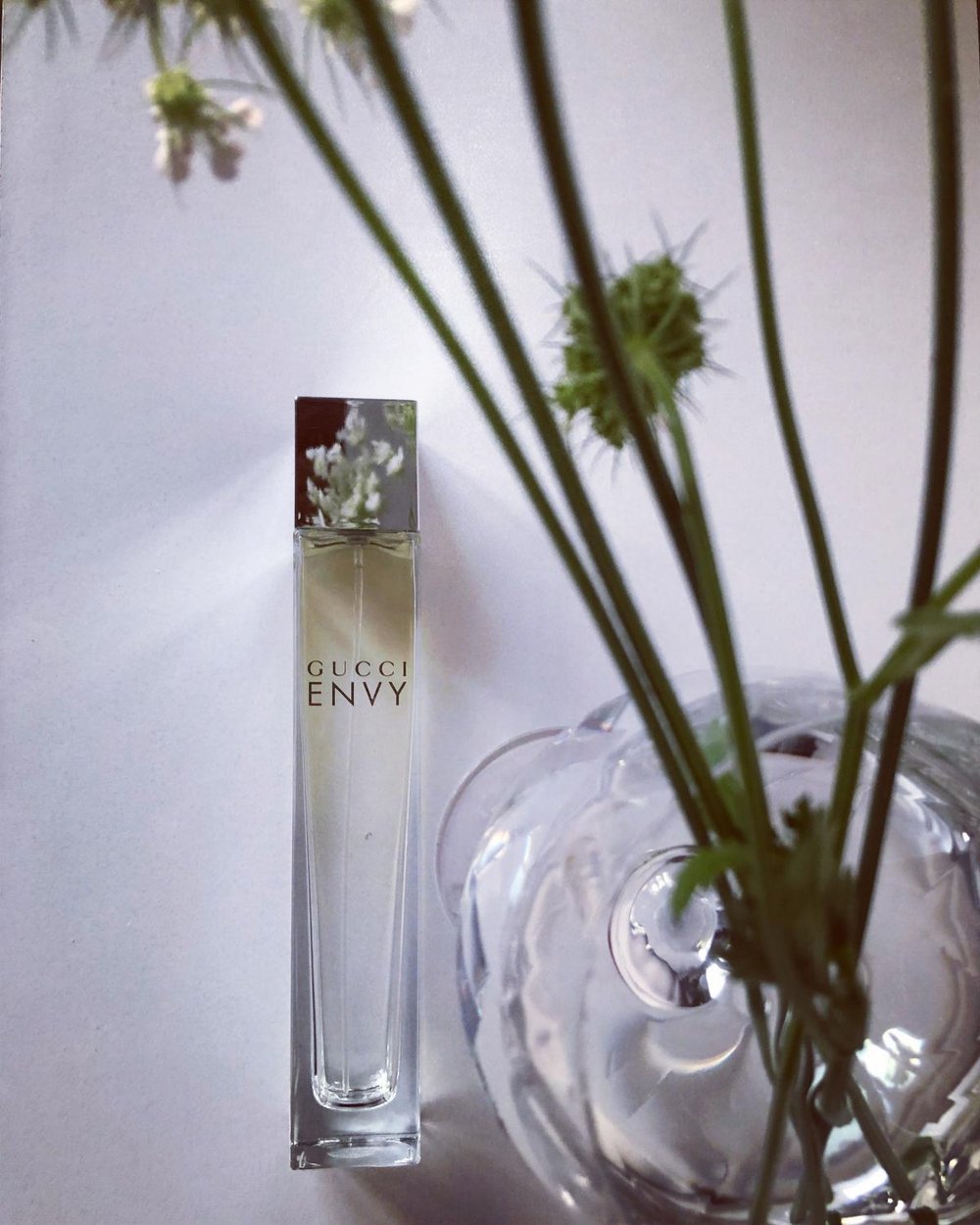 Image of GUCCI ENVY (TYPE)