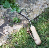 Image 1 of Doigt de désherbage