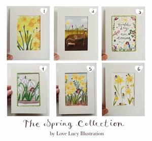 Image of The Spring Collection