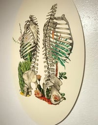 Image 2 of "Dehydration" Oval Canvas Print 