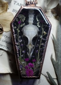 Image 3 of Coffin Amulet - Quail Skull