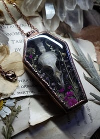 Image 2 of Coffin Amulet - Quail Skull