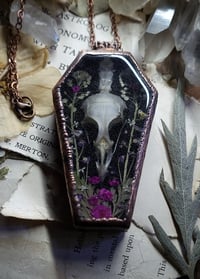 Image 5 of Coffin Amulet - Quail Skull