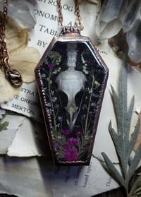 Image 1 of Coffin Amulet - Quail Skull