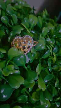 Image 4 of Diamond cut