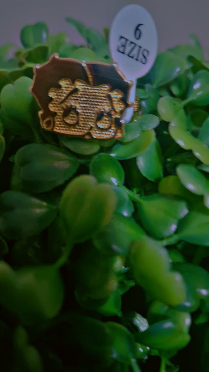 Image of Betty Boop Rollie