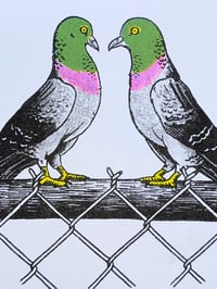 Image 3 of Twisted All Up 