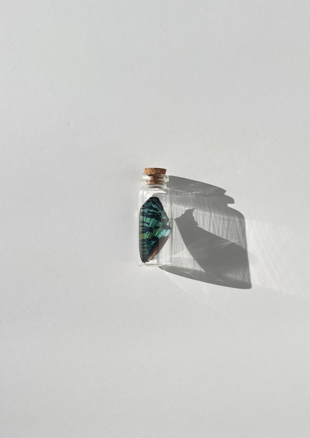 Image of Loose Wing Jar - SMALL 