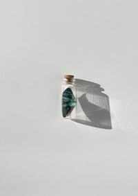 Image 1 of Loose Wing Jar - SMALL 