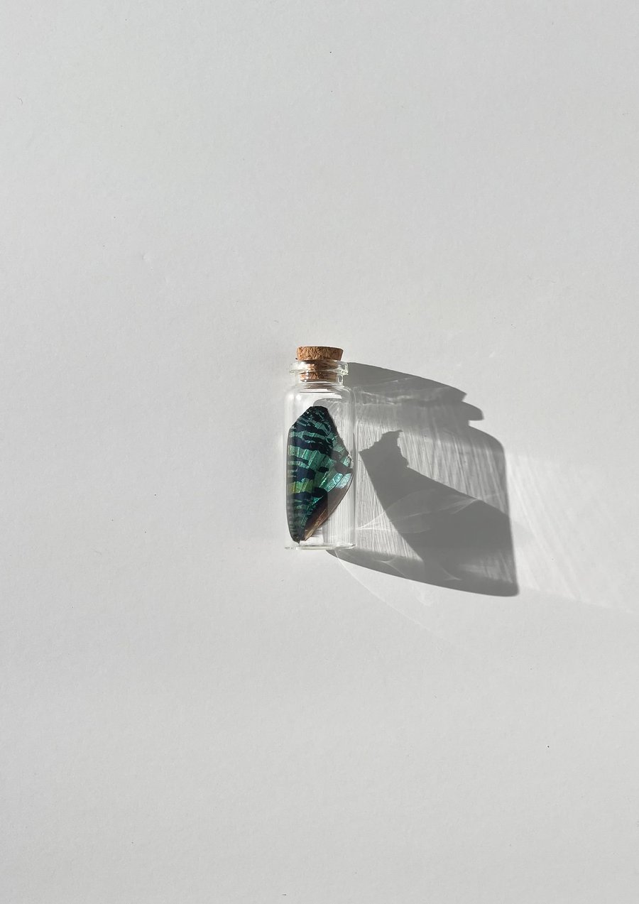 Image of Loose Wing Jar - SMALL 