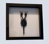 Image 1 of Giant Forest Scorpion 