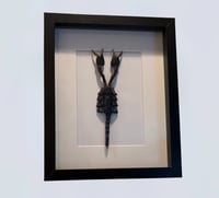 Image 2 of Giant Forest Scorpion 