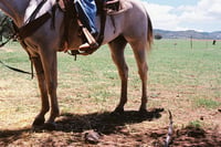 El Rancho De Mis Tios, Part 2.2