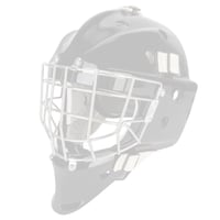 Goalie Mask Paint Deposit