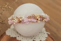 Newborn/Sitter Halo 279