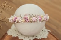 Thinner Newborn Halo 1