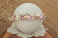 Thinner Newborn Halo 2