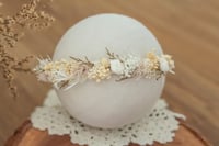 Thinner Newborn Halo 3