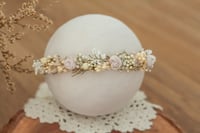 Thinner Newborn Halo 5