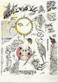 Image 1 of Color study 2026 2/3