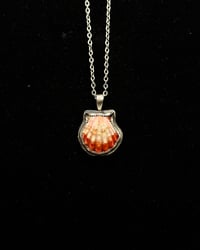 Red Sunrise Shell Pendant 