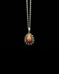 Spiked Hawaiian Honey Cowrie Pendant no. 003