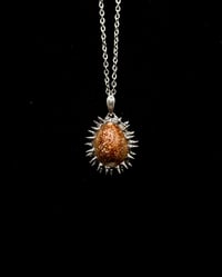 Spiked Hawaiian Snakehead Cowrie Pendant no. 003