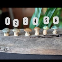 Image 3 of Mini Mushrooms