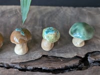 Image 2 of Mini Mushrooms