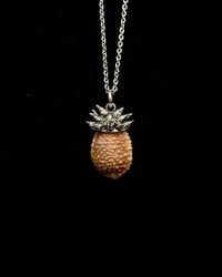 Granulated Cowrie Pendant w/ Spiked Opihi Awa Coral Cap 