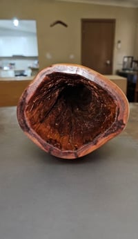 Image 4 of Serpent Didgeridoo (Timeless 🐍)