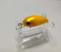 Image 6 of Sunny D Shad