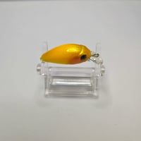 Image 9 of Sunny D Shad