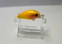 Image 4 of Sunny D Shad