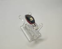 Image 3 of Chamoy  Candy Shad