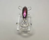 Image 4 of Midnight Spotted Shad