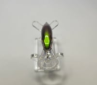 Image 2 of Green Spotted Shad 