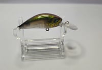 Image 1 of Green Spotted Shad 