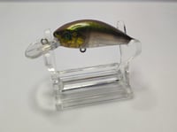 Image 3 of Green Spotted Shad 