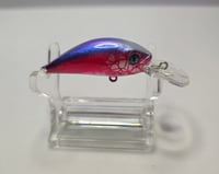 Image 1 of All American Leach