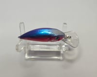 Image 5 of All American Leach