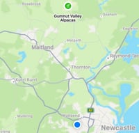 Image 2 of Paint with Alpacas Saturday 21st March 12pm Gumnut Valley Alpacas