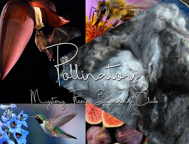 Pollinators - Mystery Fleece Club- QUARTERLY