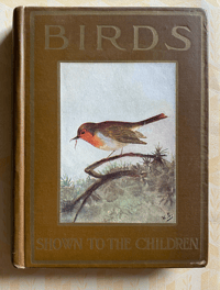 Image 2 of Birds Shown to the Children